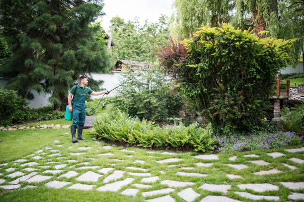 Best Wasp Removal Services  in North Seekonk, MA