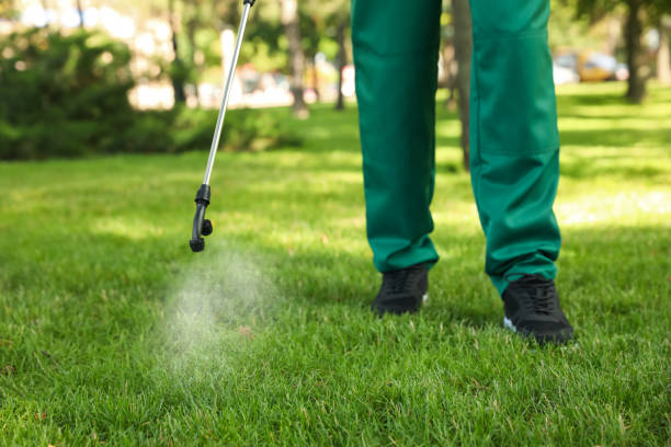 Best Exterminator Services  in North Seekonk, MA