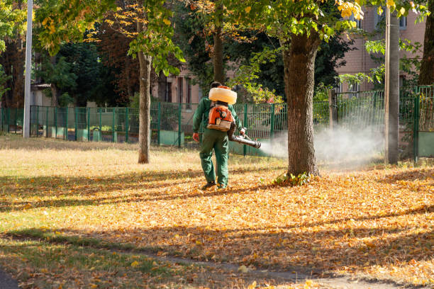 Best Rat Extermination Near Me  in North Seekonk, MA