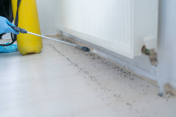 Best Best Pest Control Near Me  in North Seekonk, MA
