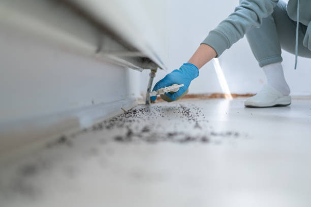 Best Mosquito Control Services  in North Seekonk, MA